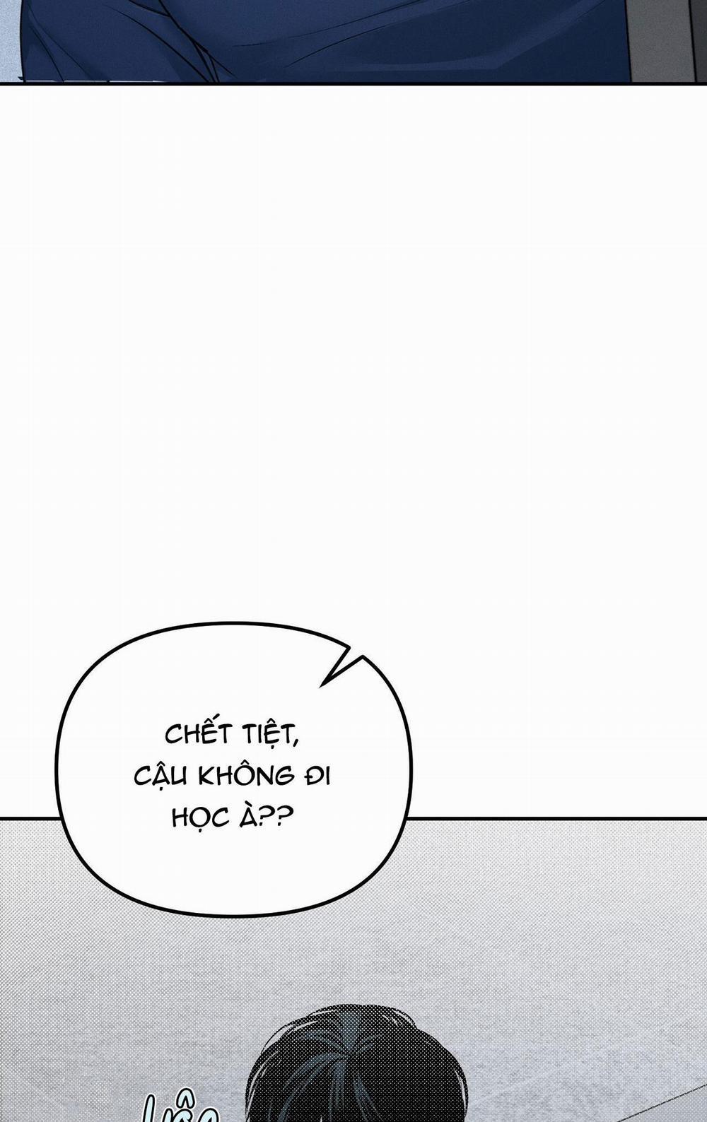 Projection 14 trang 41