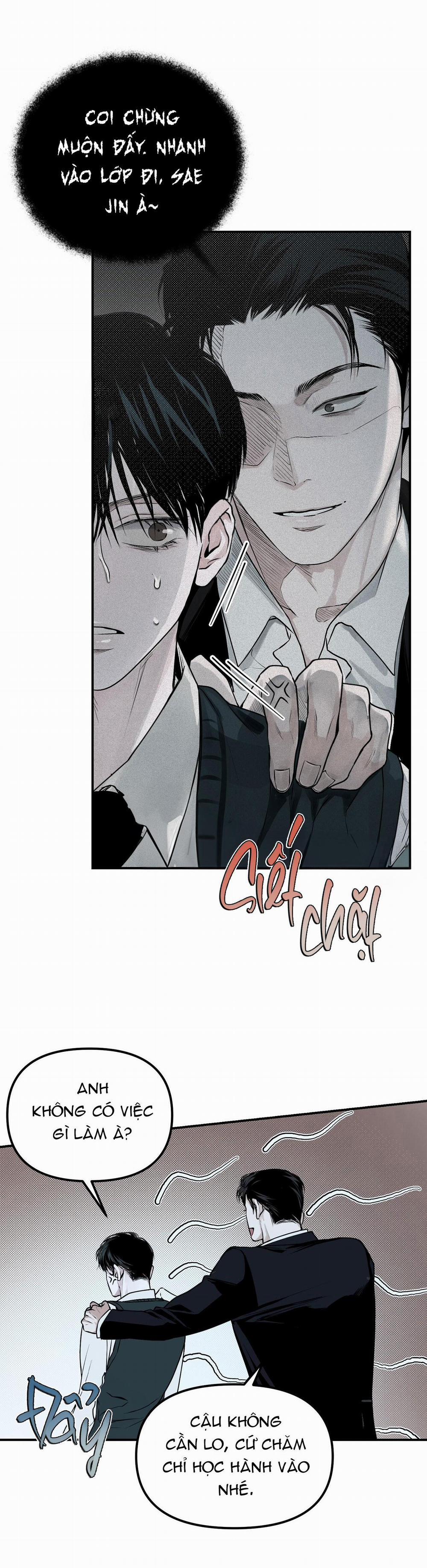 Projection 15 trang 21