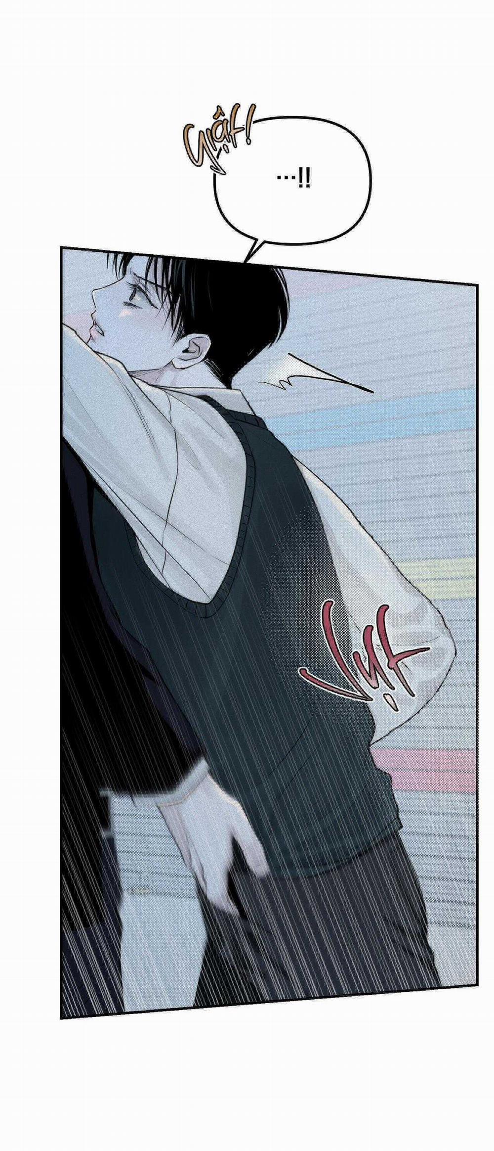 Projection 16 trang 11