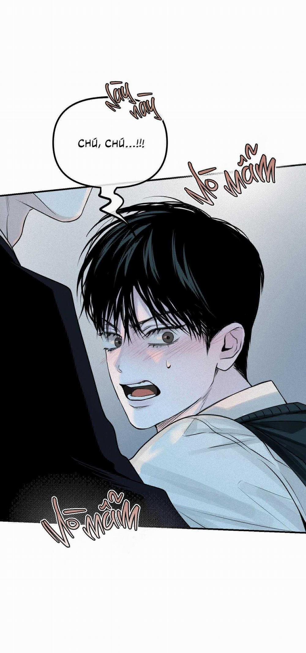 Projection 16 trang 12