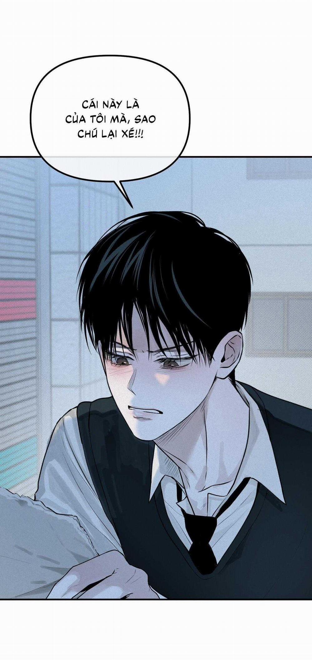 Projection 16 trang 17