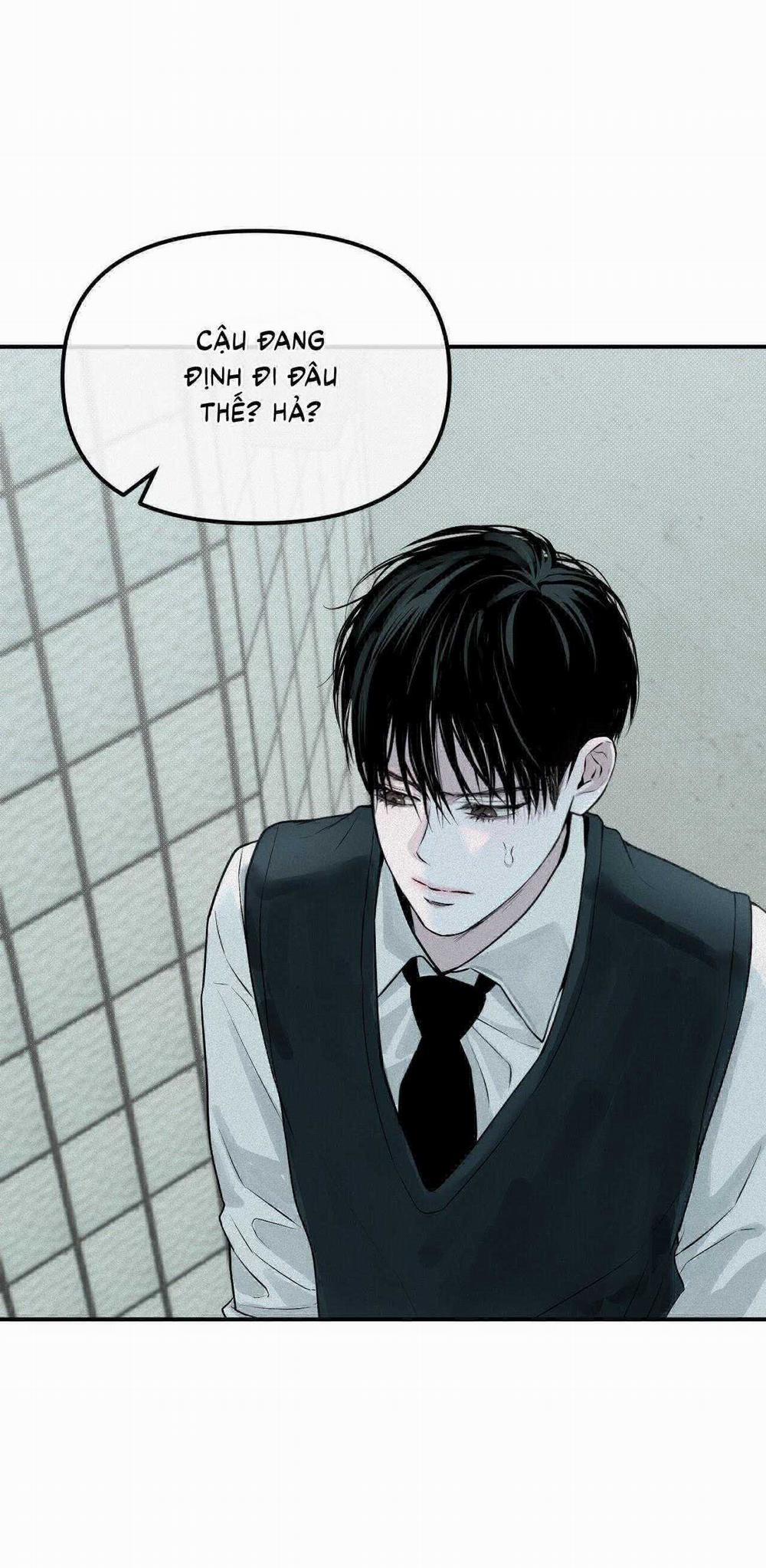 Projection 16 trang 3