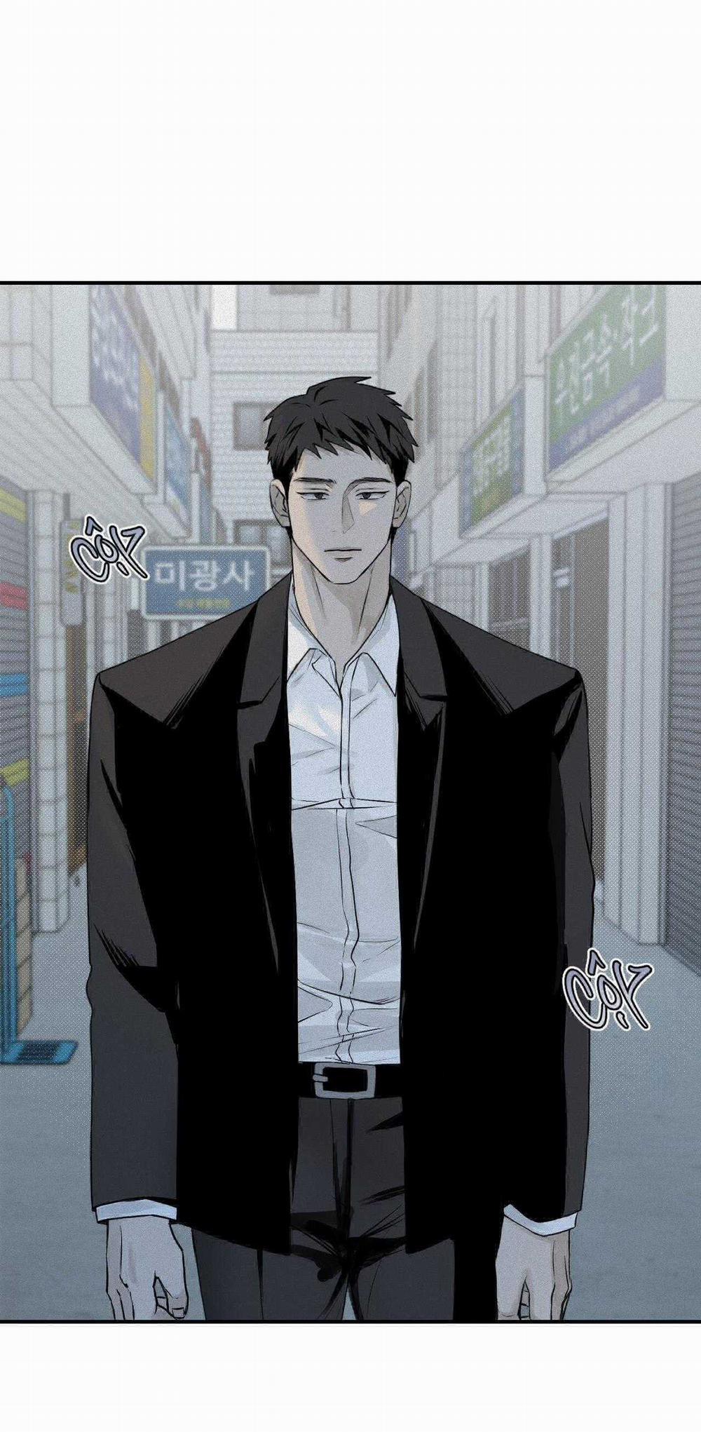 Projection 16 trang 31