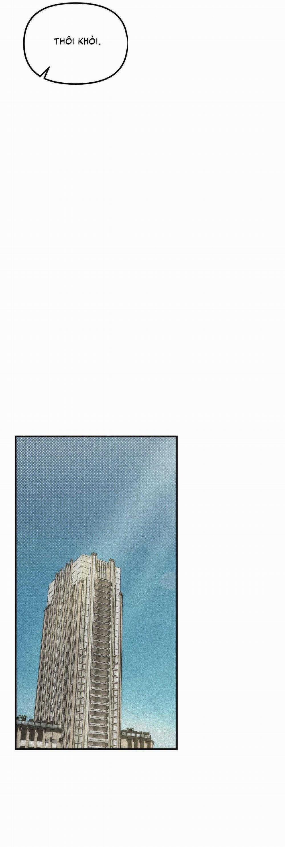 Projection 16 trang 35