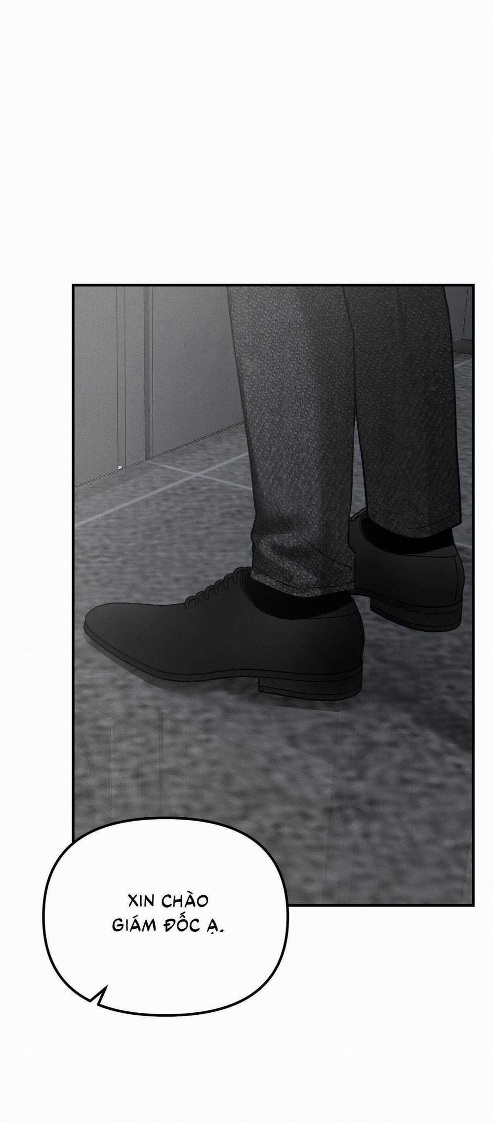 Projection 16 trang 44