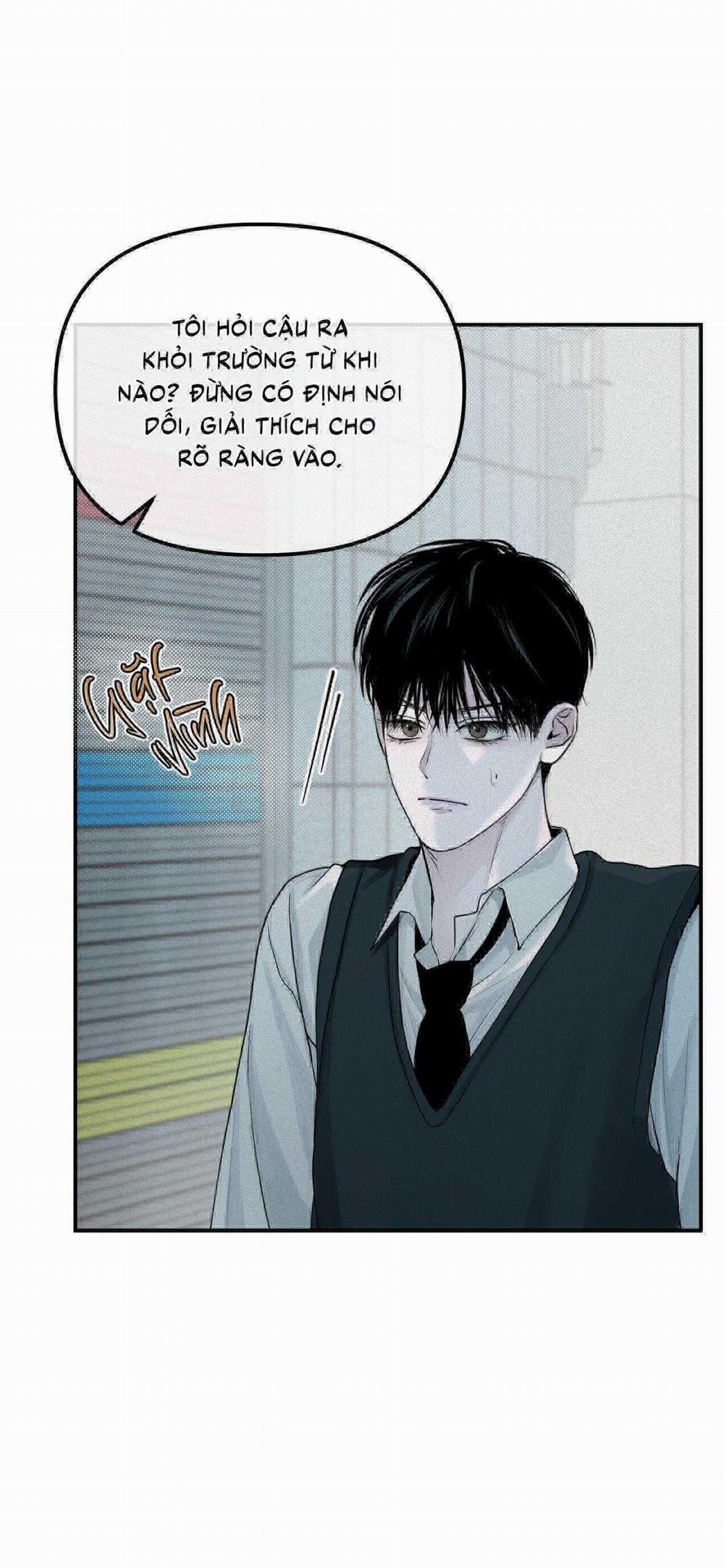 Projection 16 trang 5