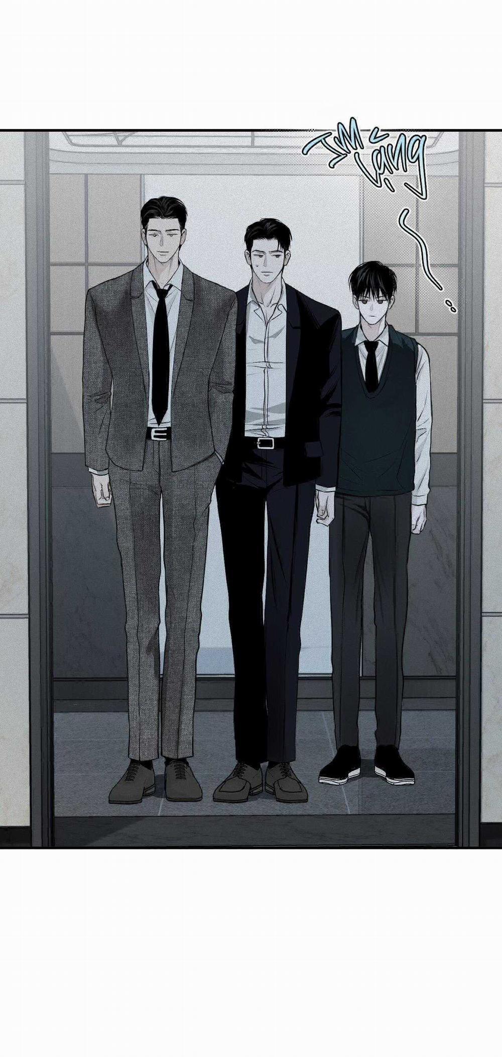 Projection 16 trang 51