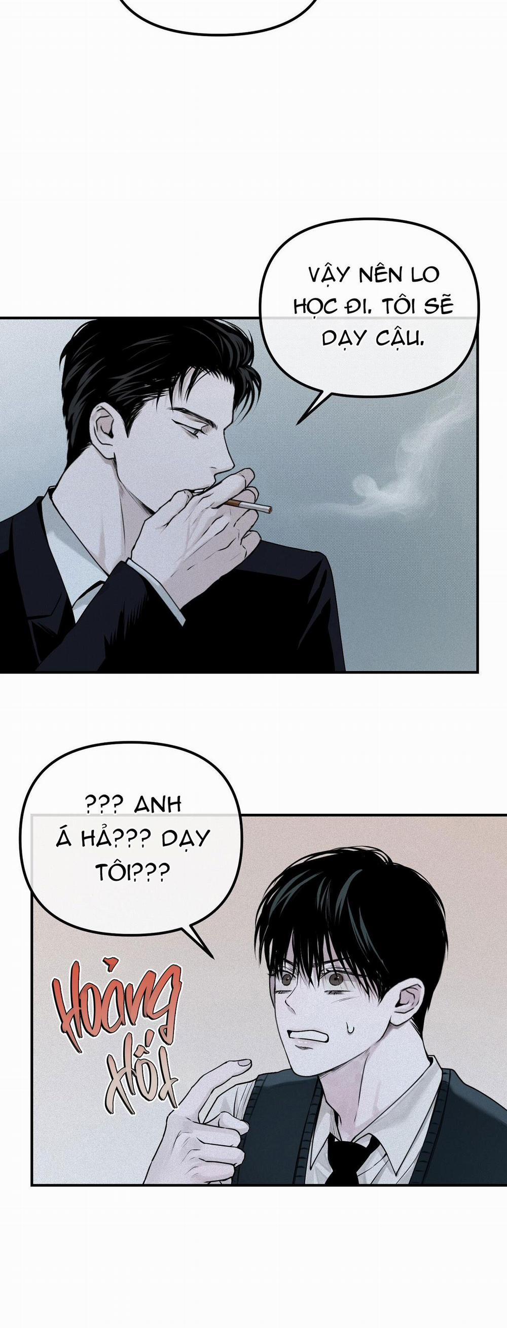 Projection 17 trang 25