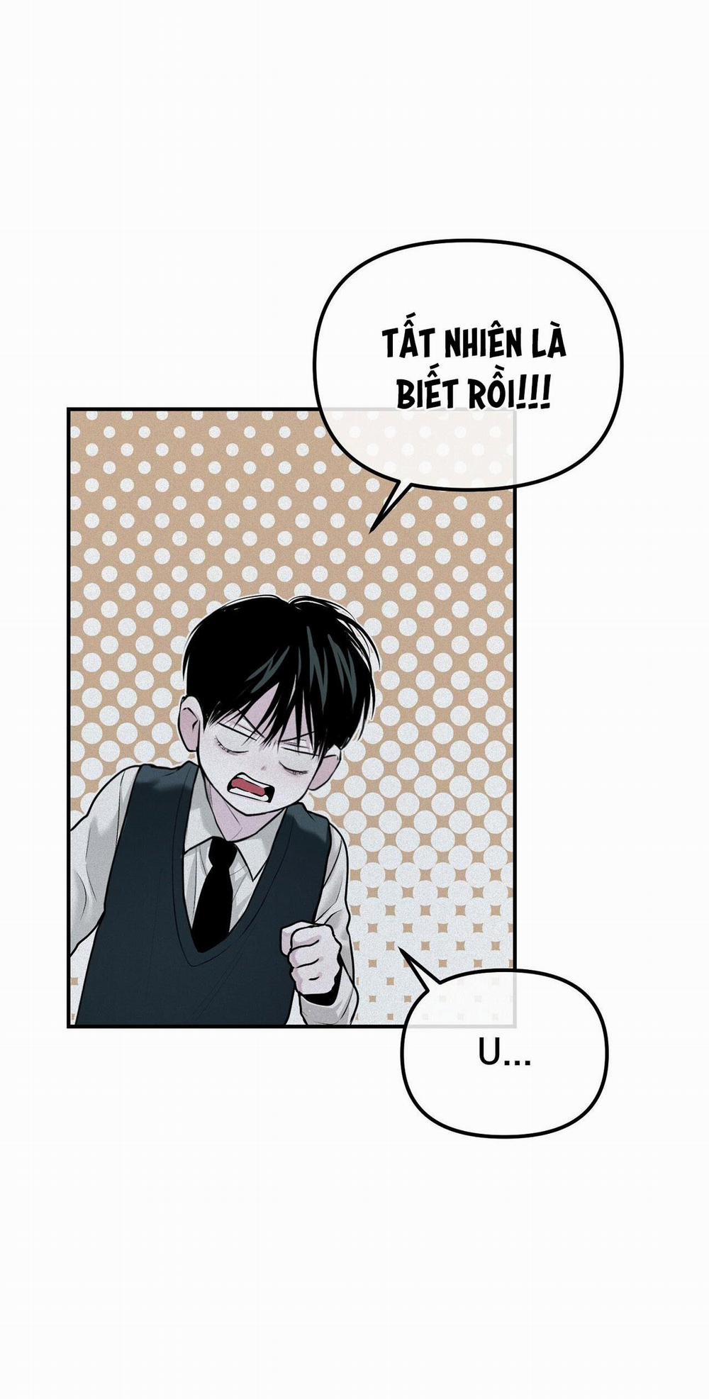 Projection 17 trang 28