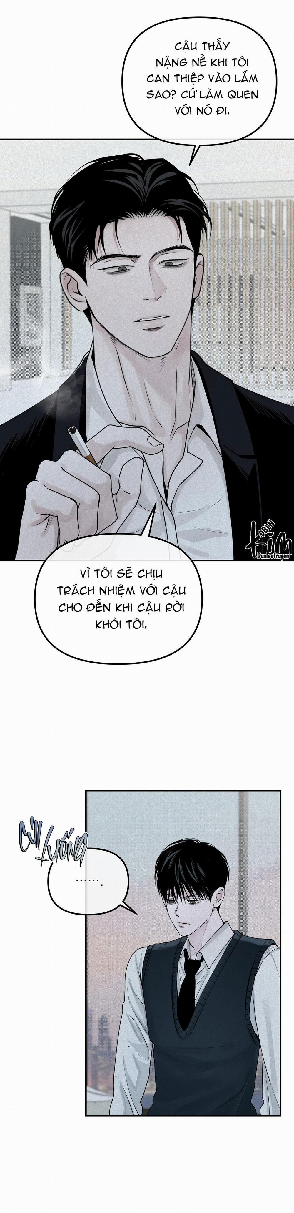 Projection 17 trang 31