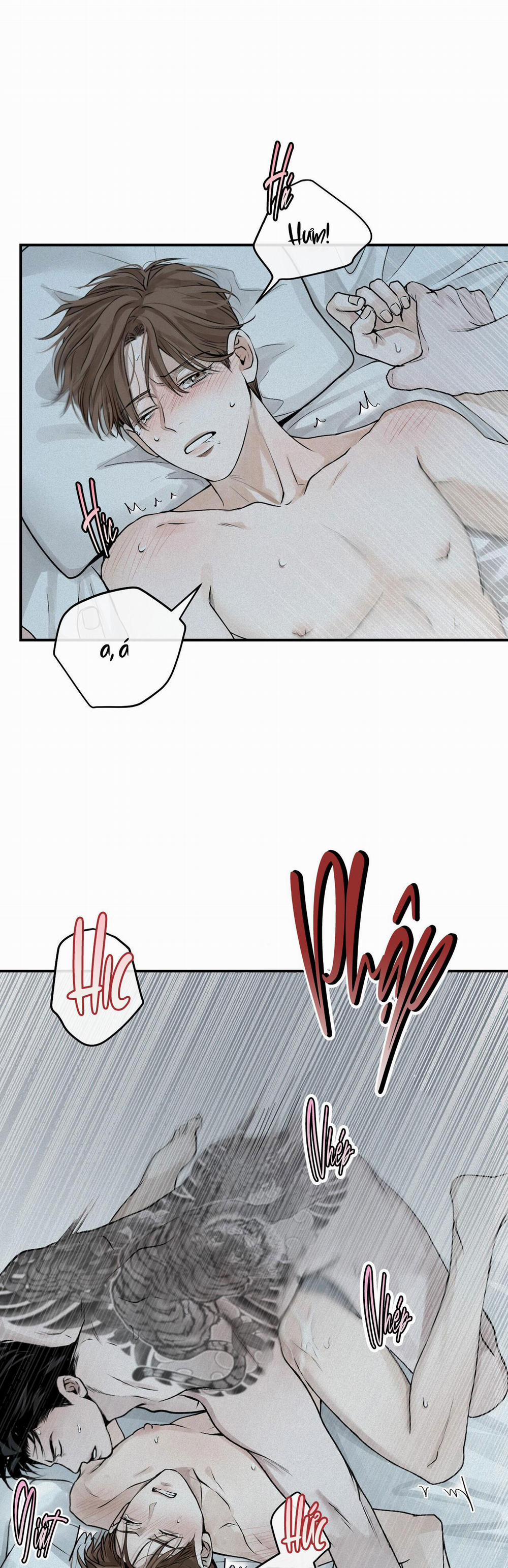 Projection 19 trang 2