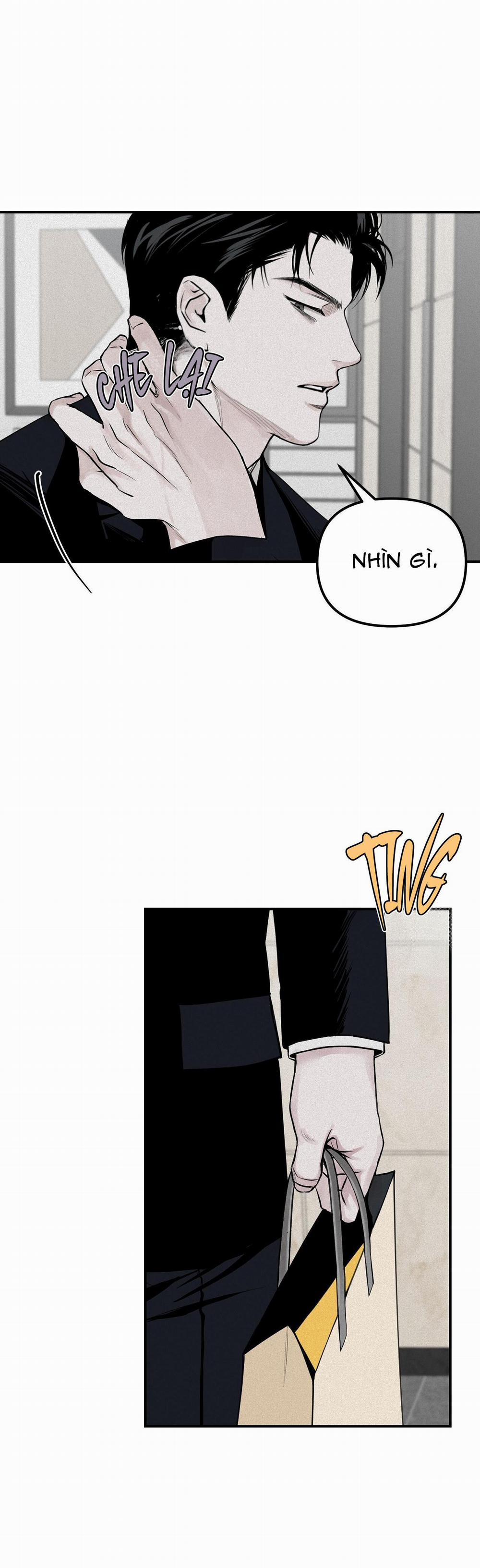 Projection 19 trang 27