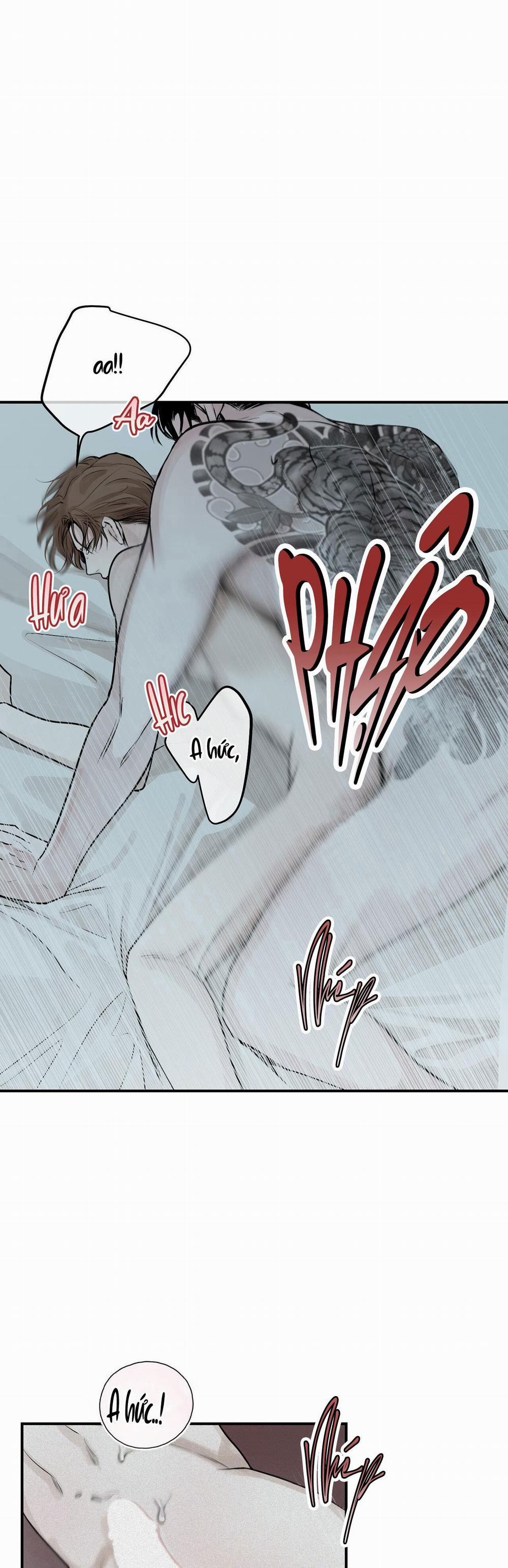 Projection 19 trang 4