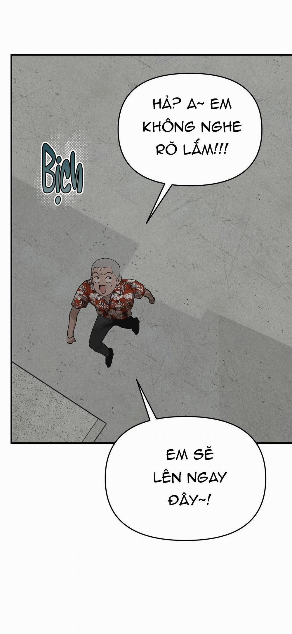 Projection 2 trang 55