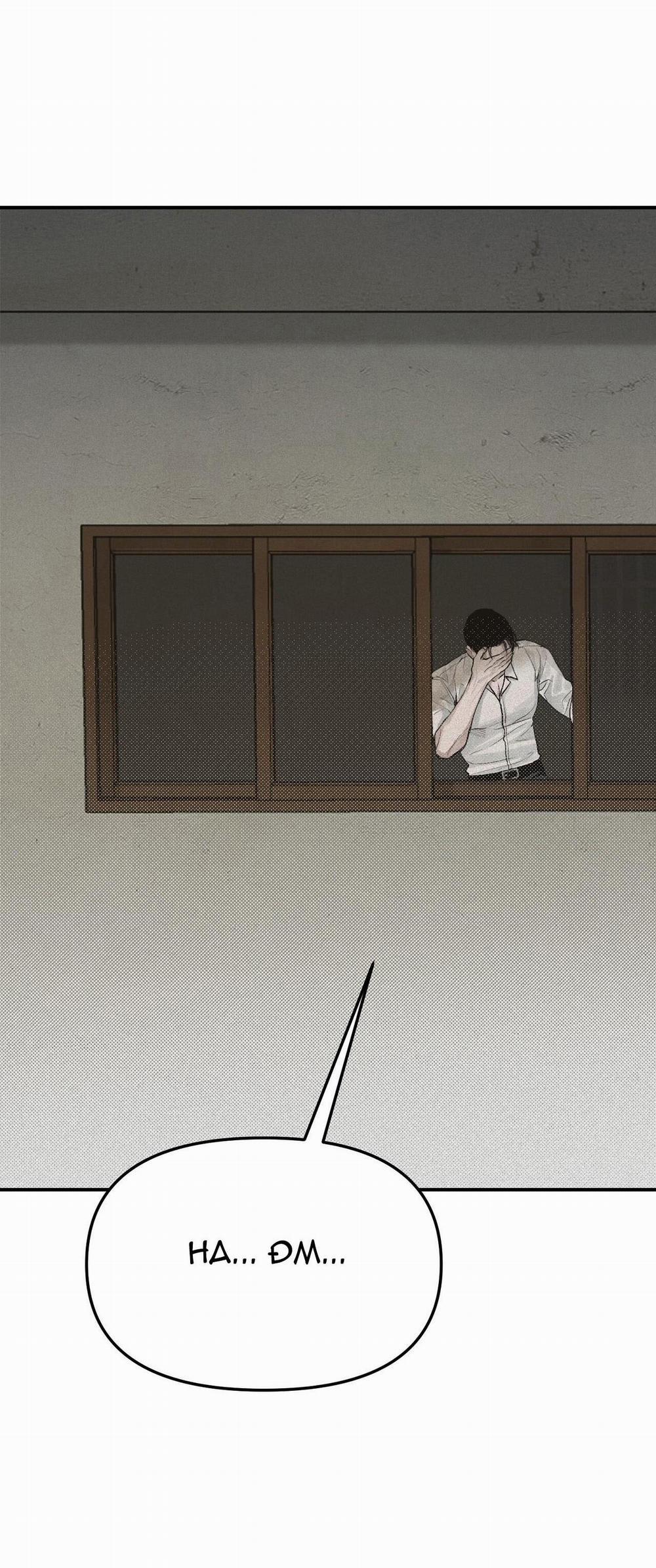 Projection 2 trang 56