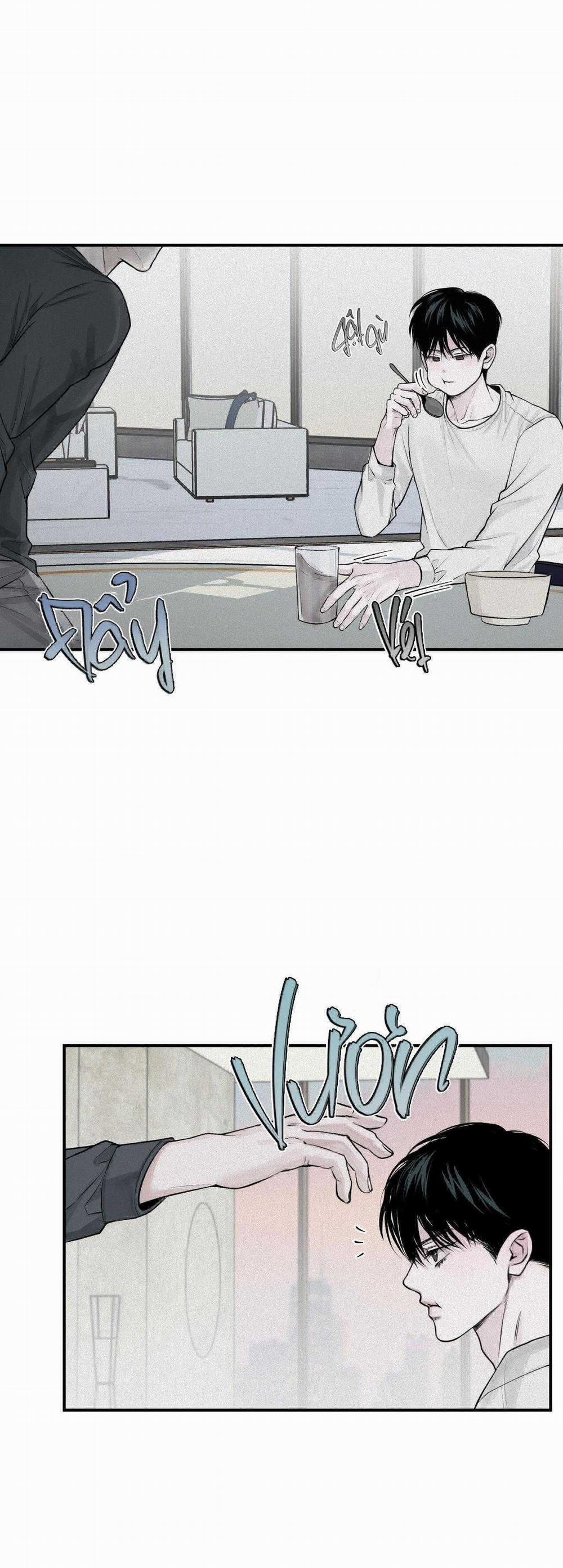 Projection 21 trang 24