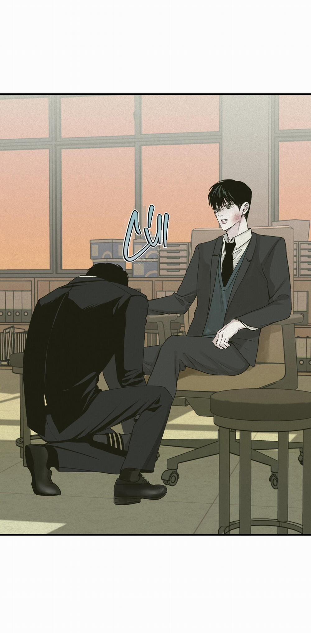 Projection 24 trang 25