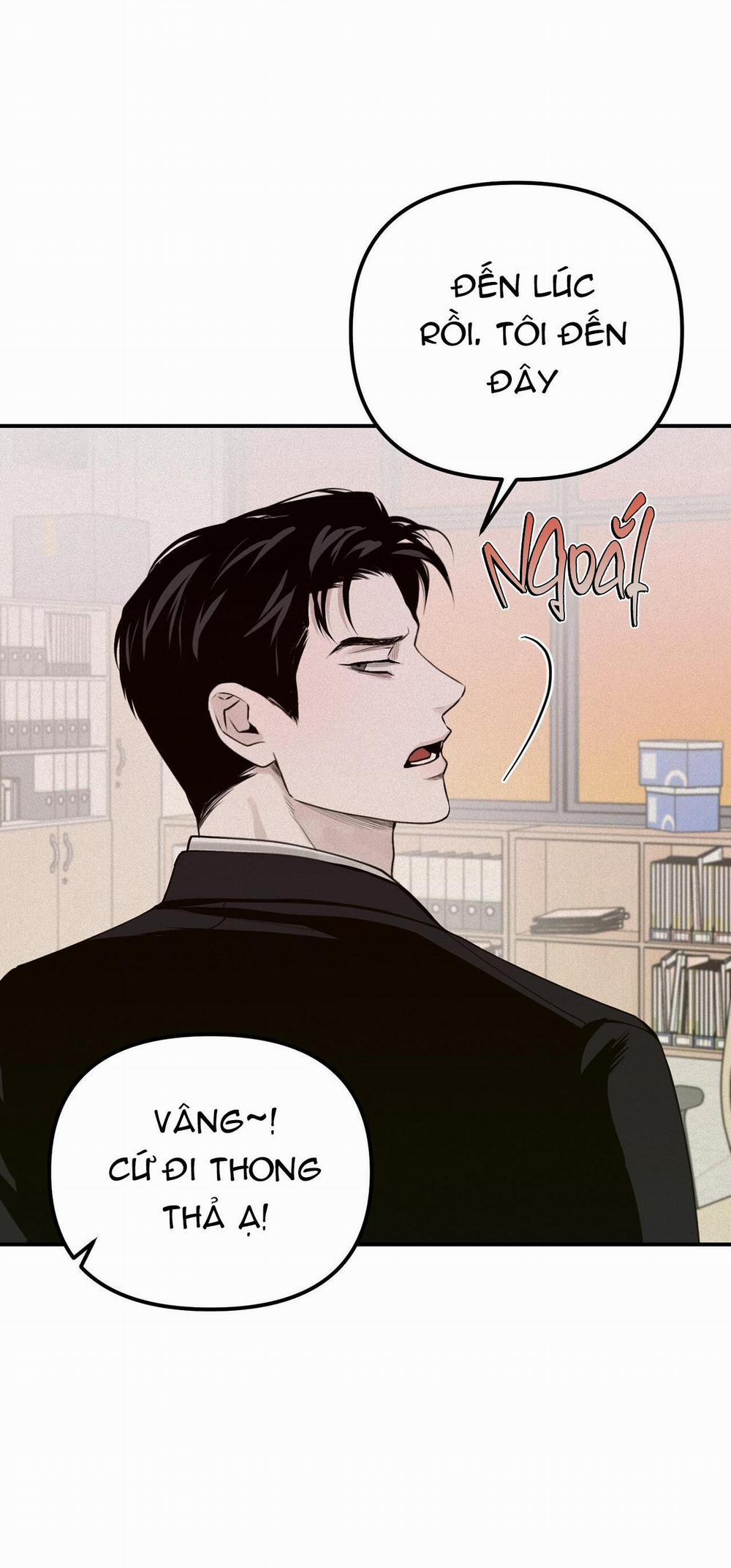 Projection 24 trang 33