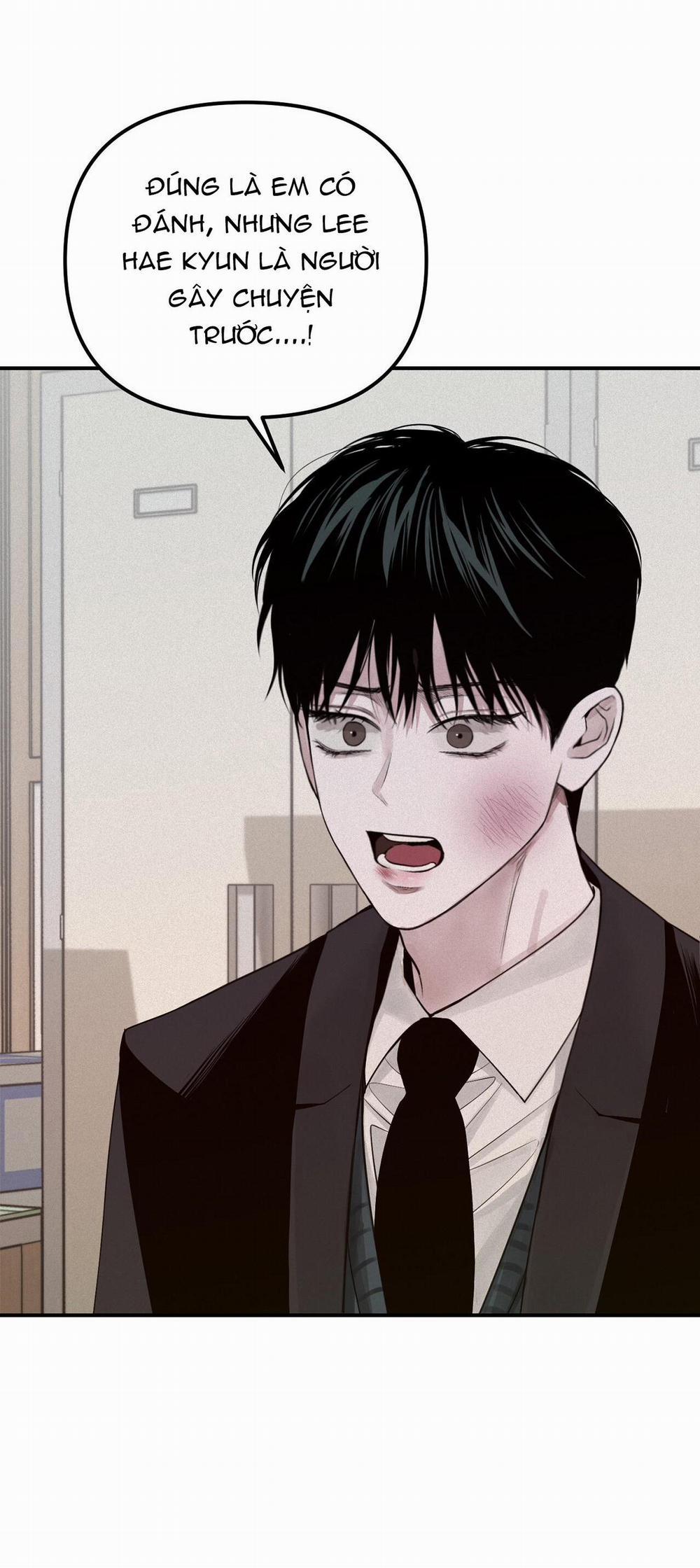 Projection 24 trang 8