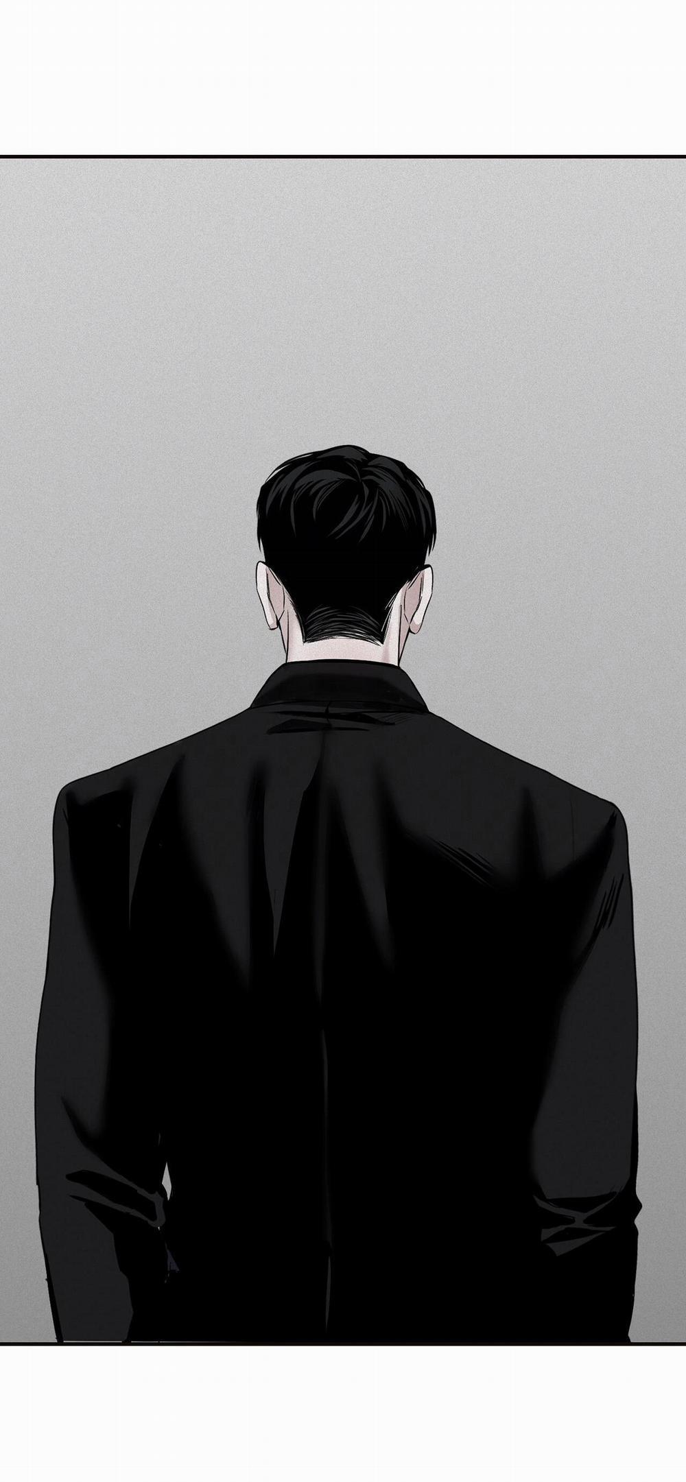 Projection 26 trang 19