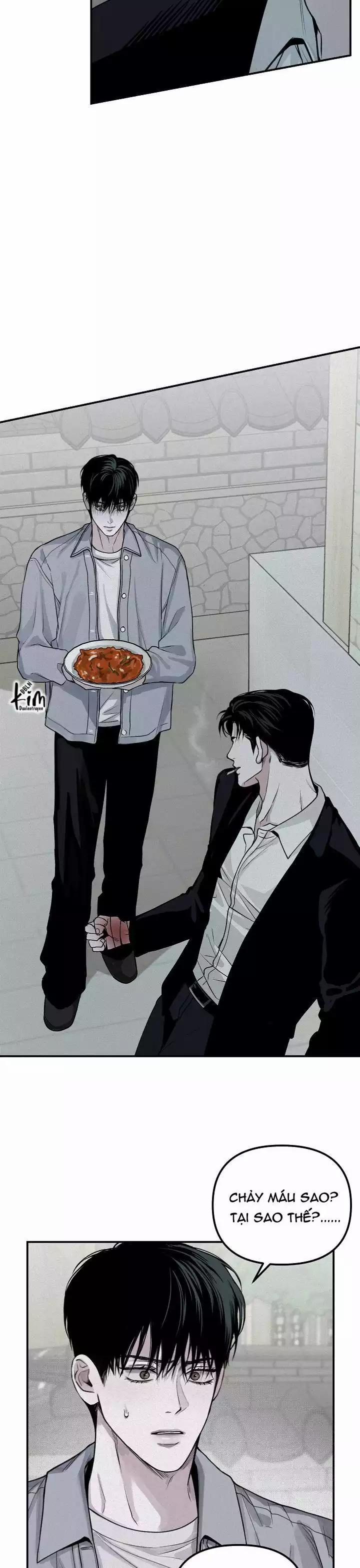 Projection 31 trang 15