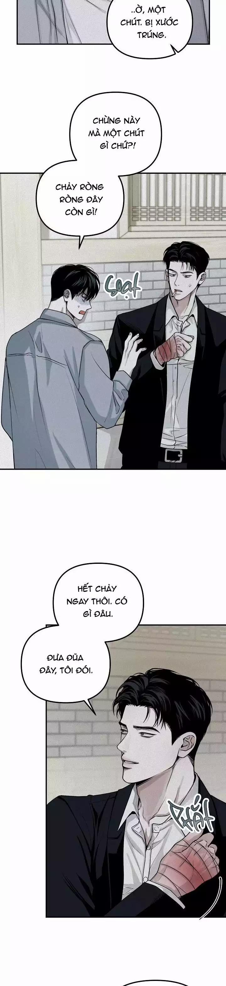 Projection 31 trang 16