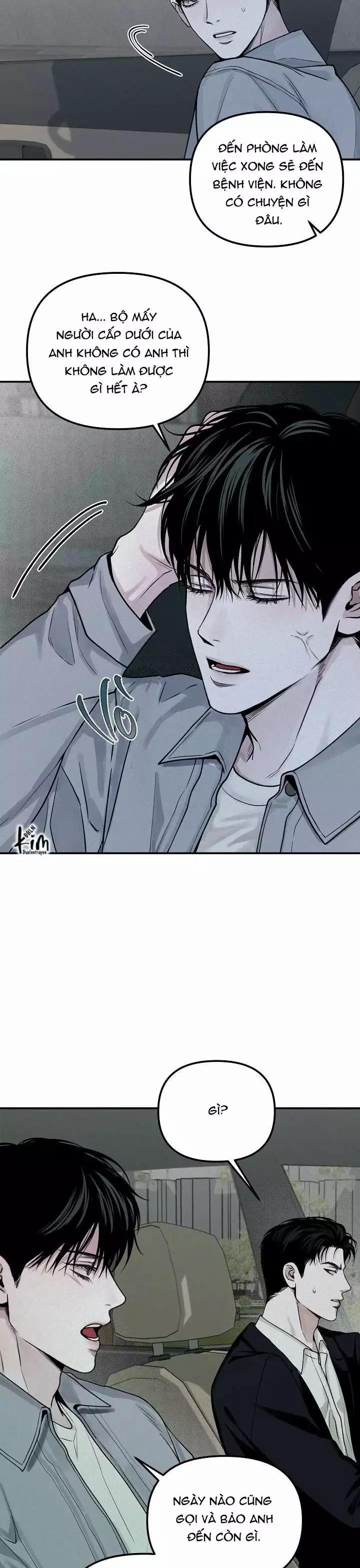 Projection 31 trang 29