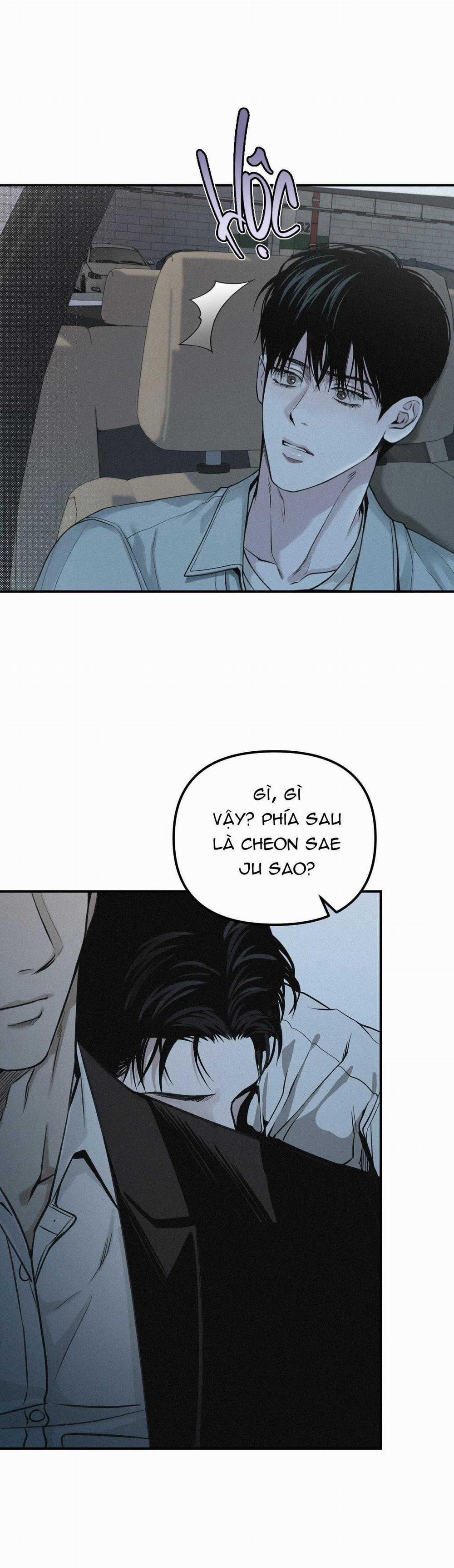 Projection 32 trang 47