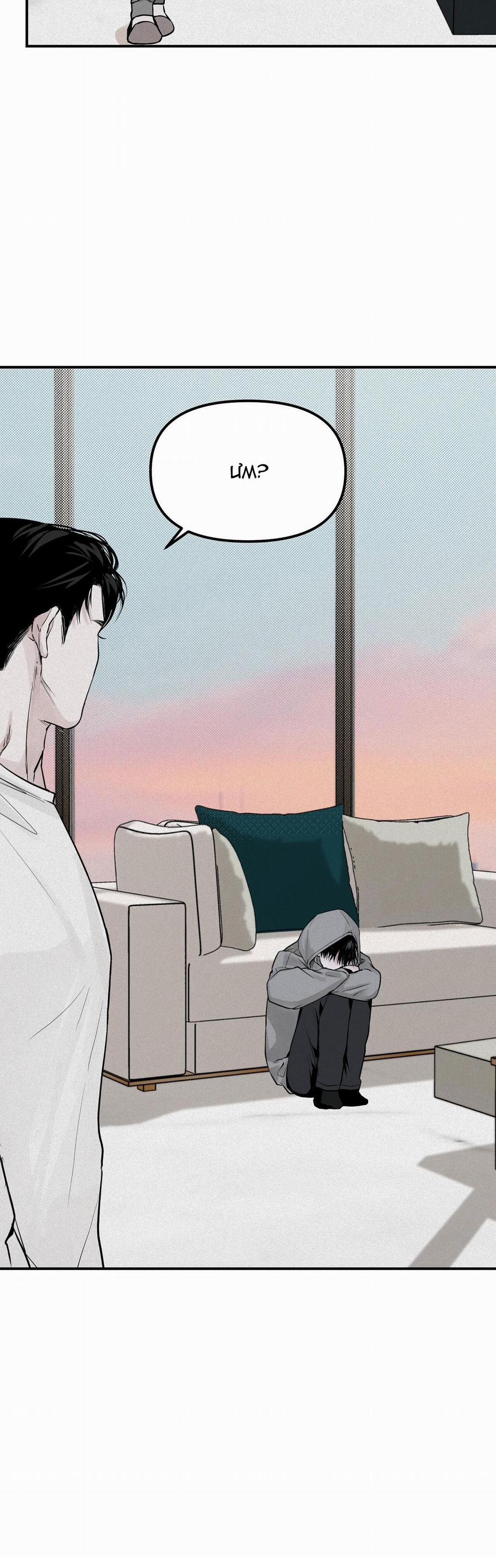 Projection 4 trang 35