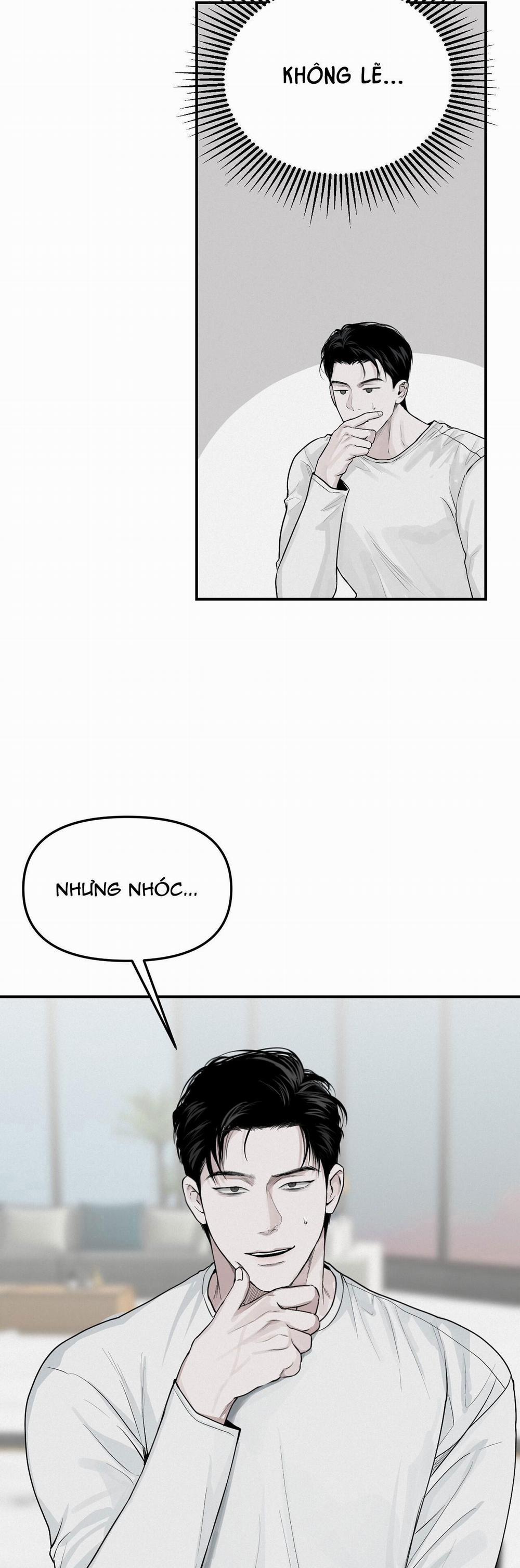 Projection 5 trang 11