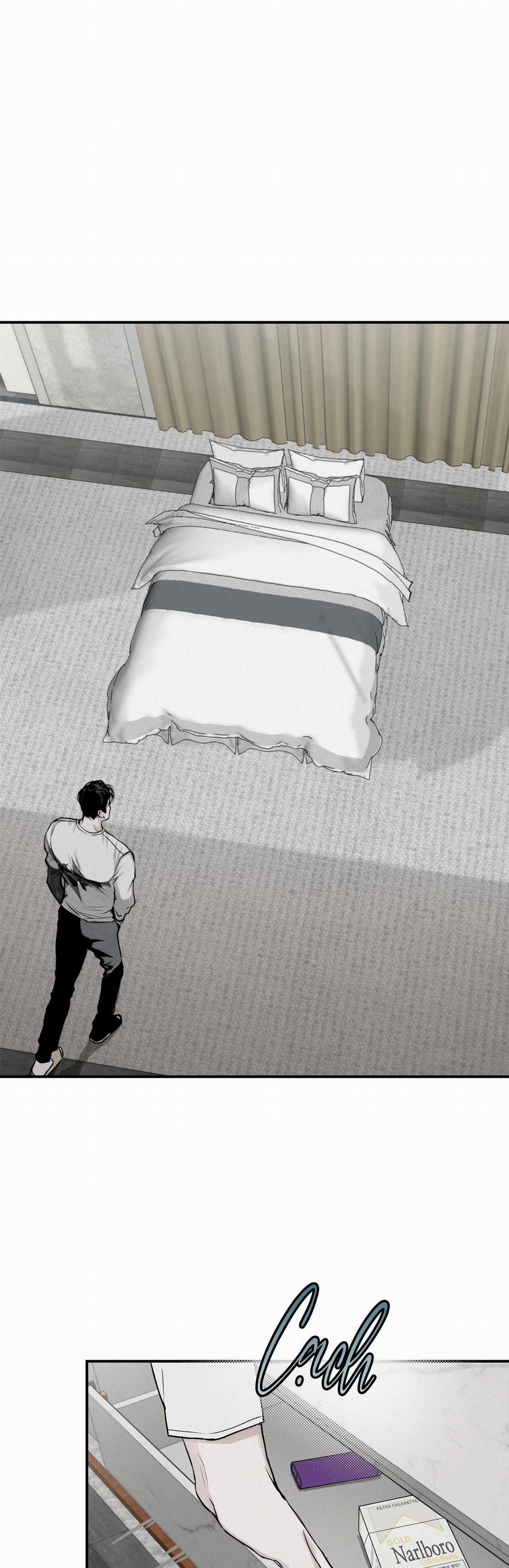 Projection 5 trang 19