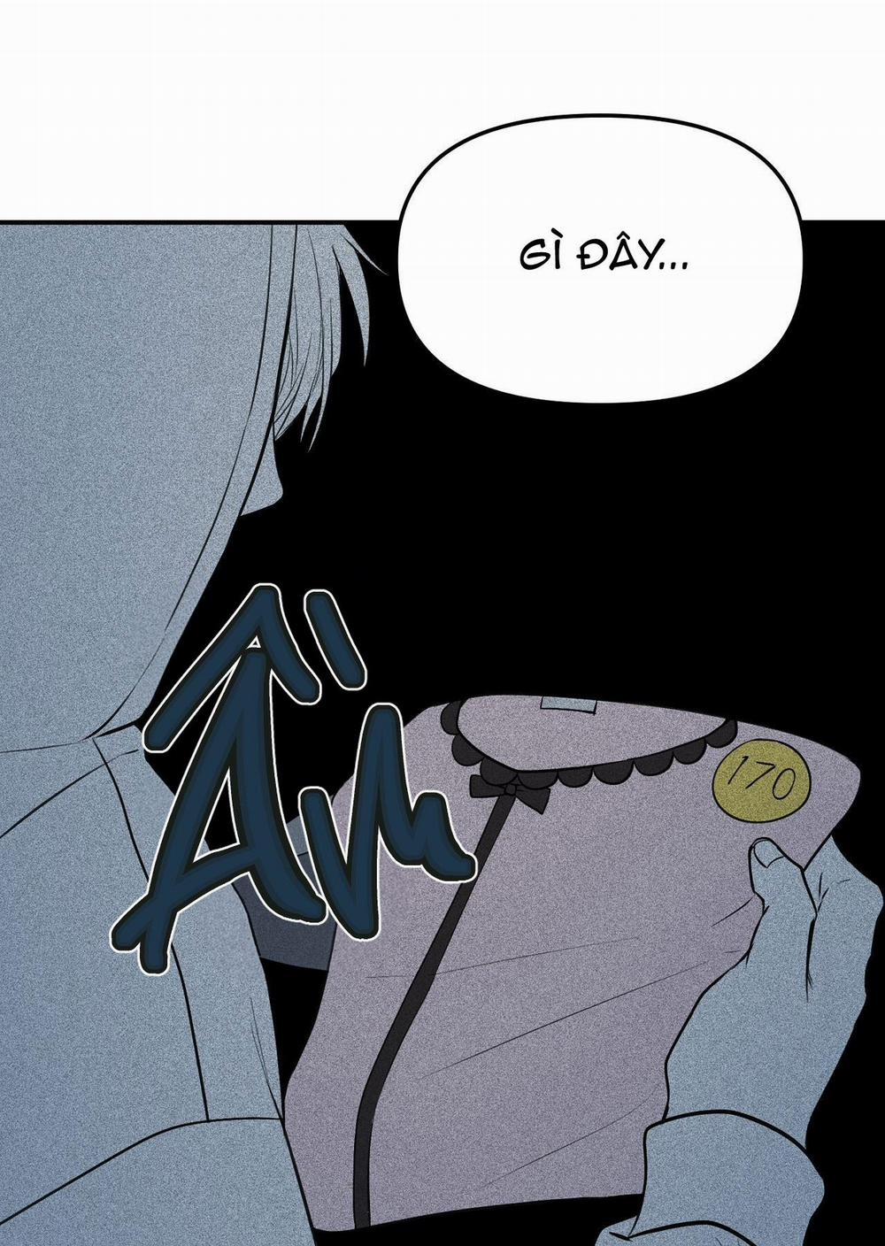 Projection 6 trang 51