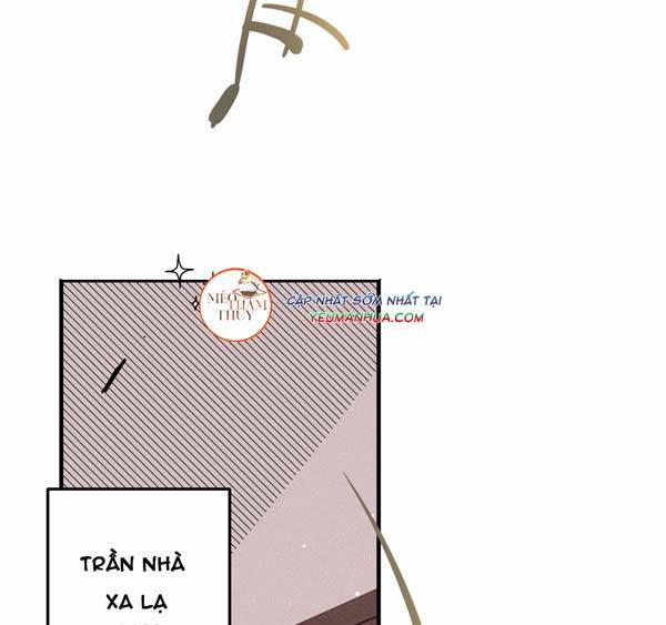 Punk Dunk Funk 13 trang 10