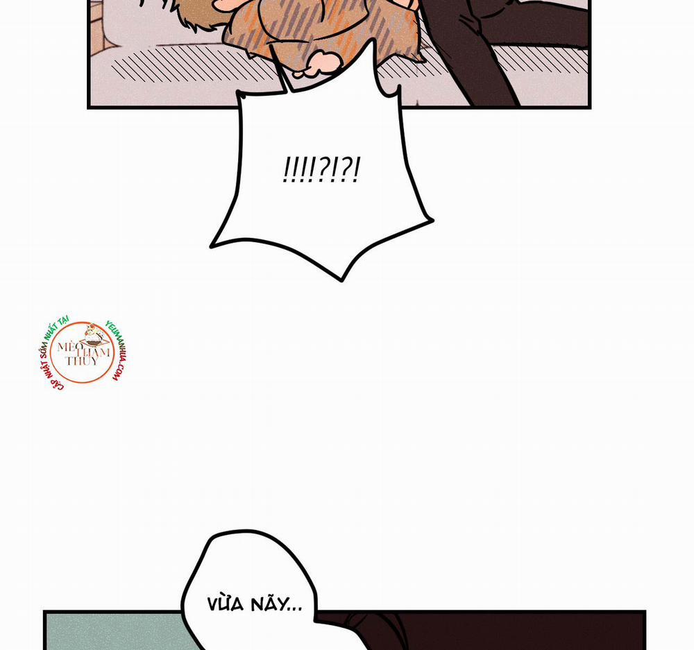 Punk Dunk Funk 20 trang 2