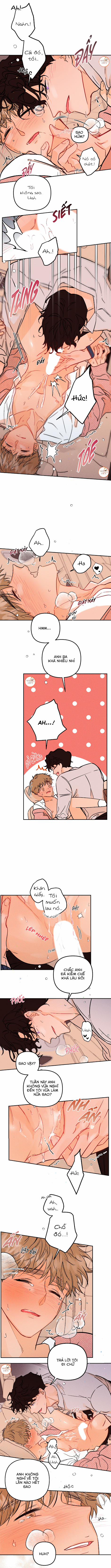 Punk Dunk Funk 25 trang 4