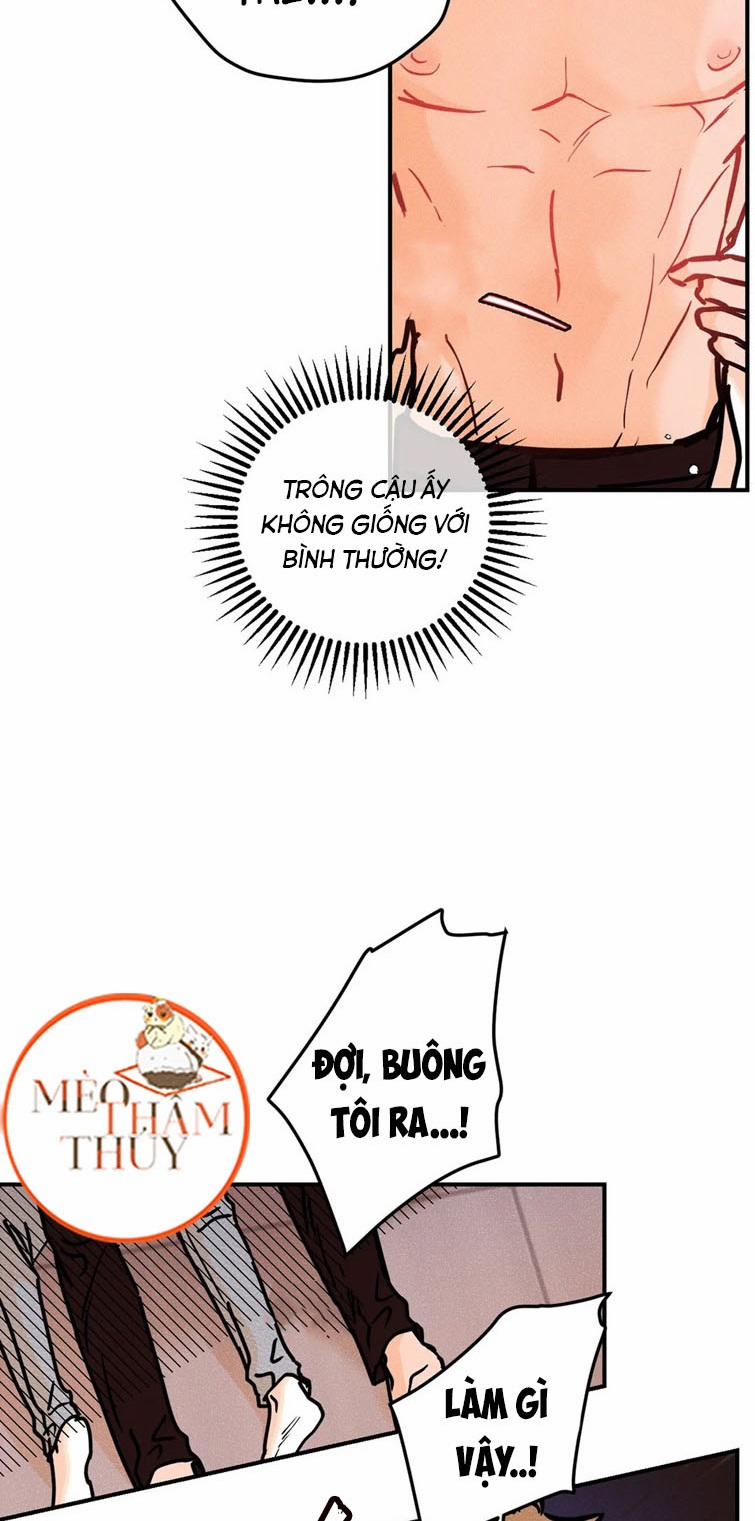 Punk Dunk Funk 39 trang 10