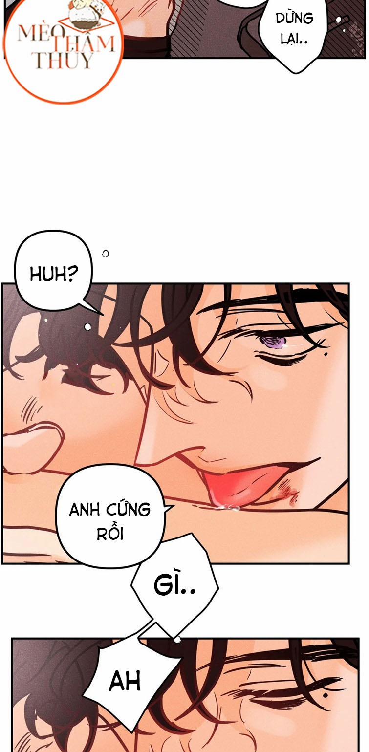 Punk Dunk Funk 39 trang 19