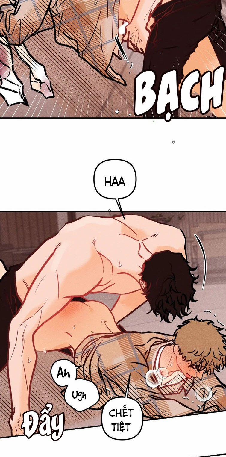 Punk Dunk Funk 40 trang 3