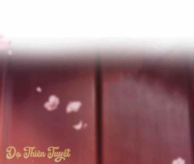 Quân Chủ Ổn Trụ 1 trang 25