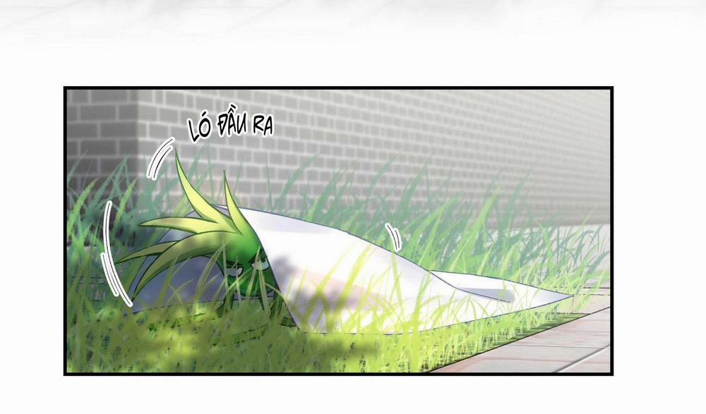 Quán cơm tỳ hưu 62 trang 24