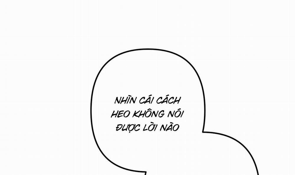 Quan Hệ Chết Chóc 29 trang 16