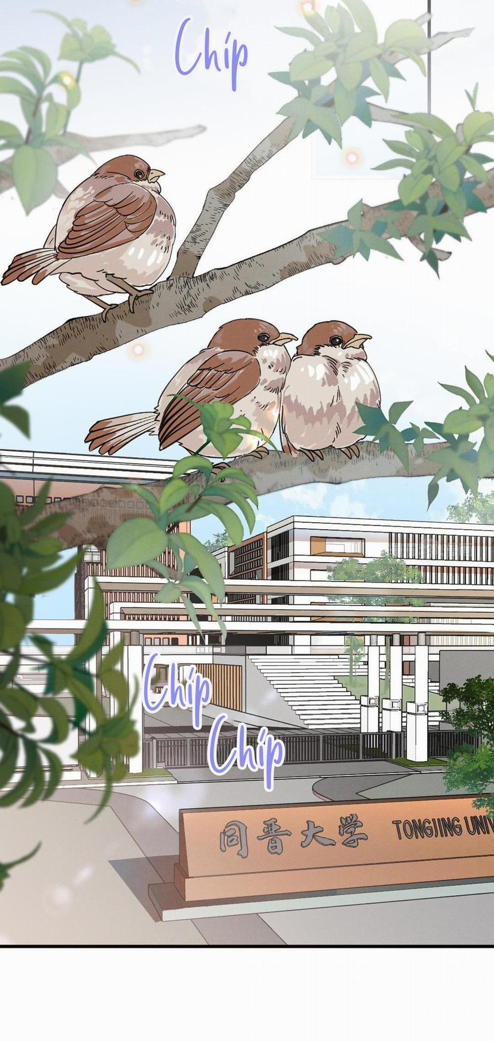 Quan Hệ Độc Hại 1 trang 19