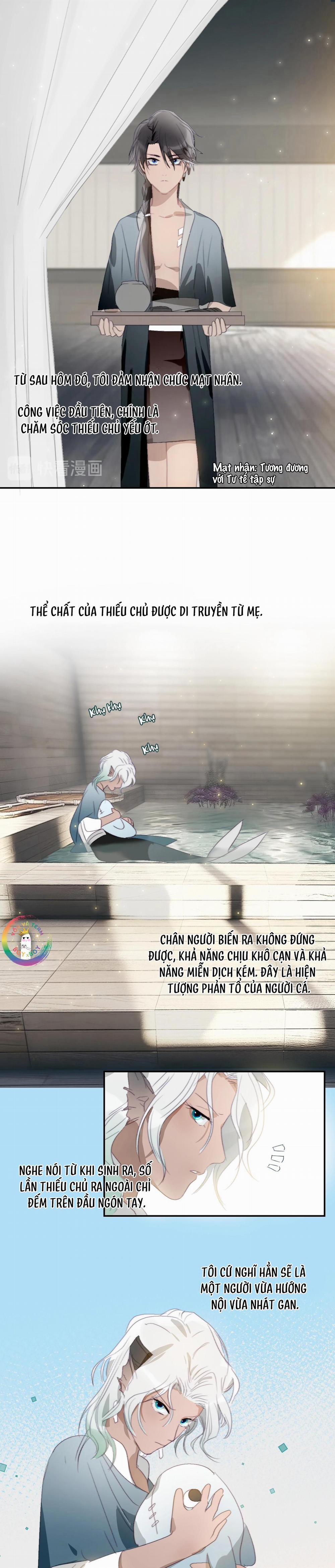 Quanh Năm Có Cá 26 trang 5