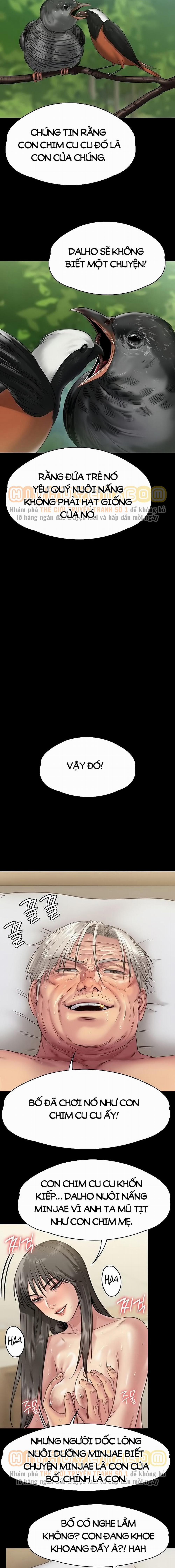 Queen Bee – Ong Chúa 257 trang 12