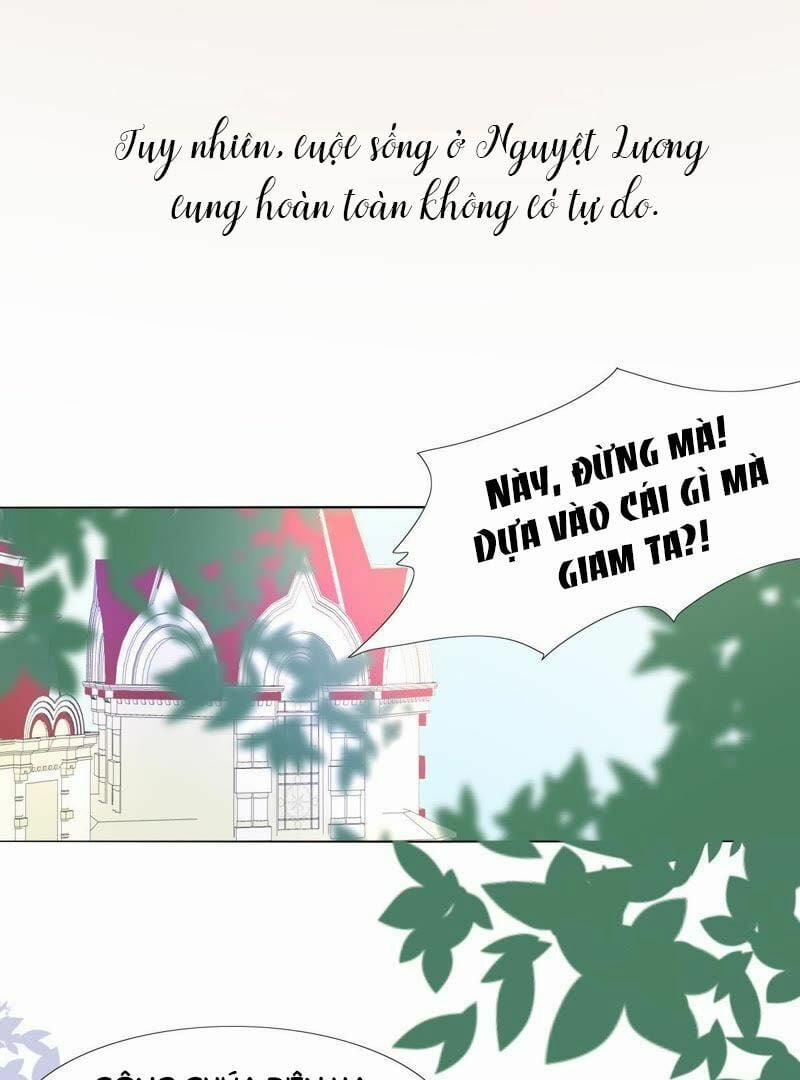 Quốc Vương Cứ Muốn Lấy Mạng Tôi 5 trang 18