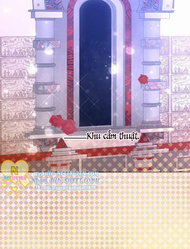 Quốc Vương Cứ Muốn Lấy Mạng Tôi 5 trang 3