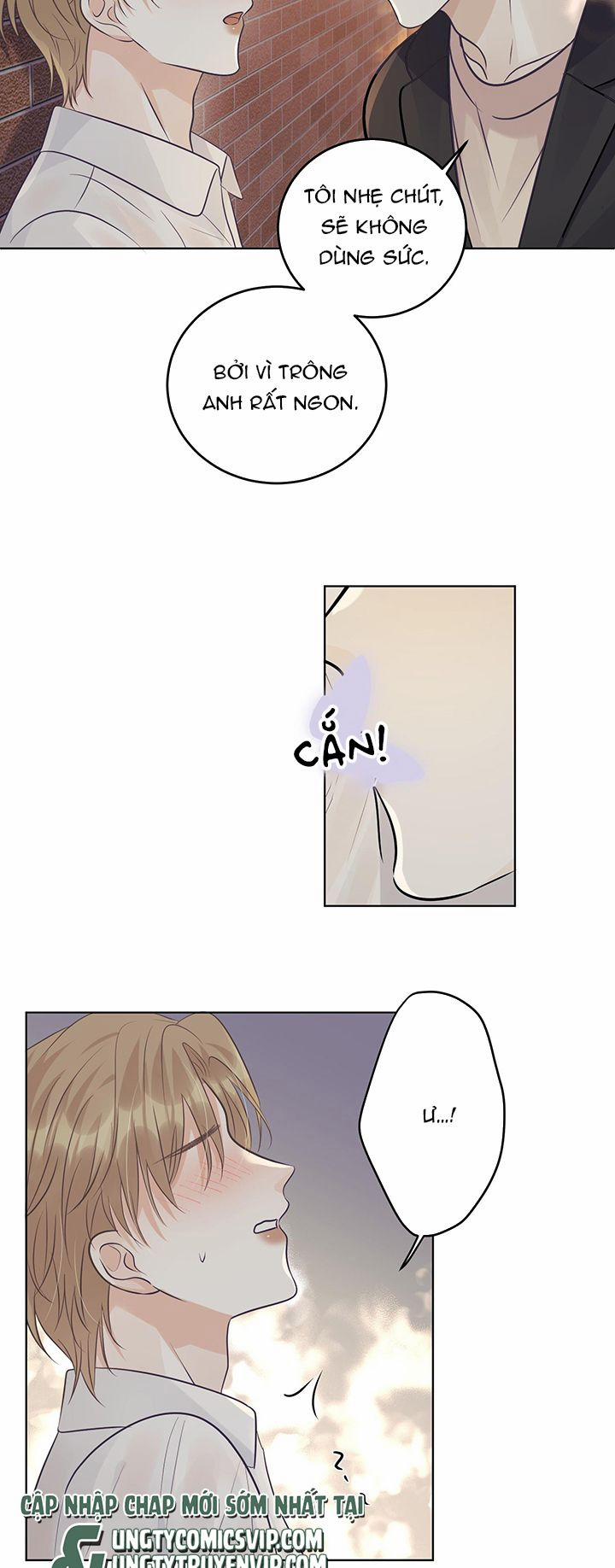 Quy Luật Thăm Dò 28 trang 13