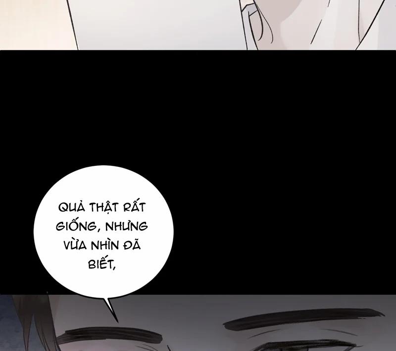 Quy Luật Thăm Dò 31 trang 11