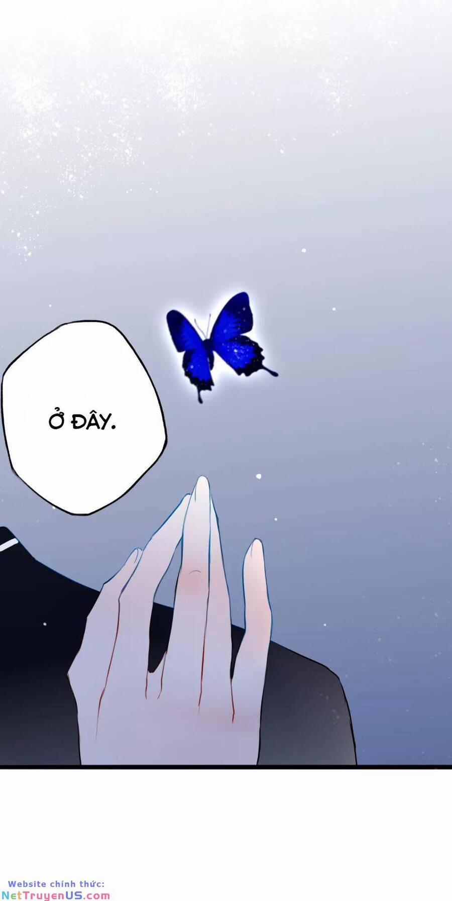 Quy Luật Tình Yêu 13 trang 5