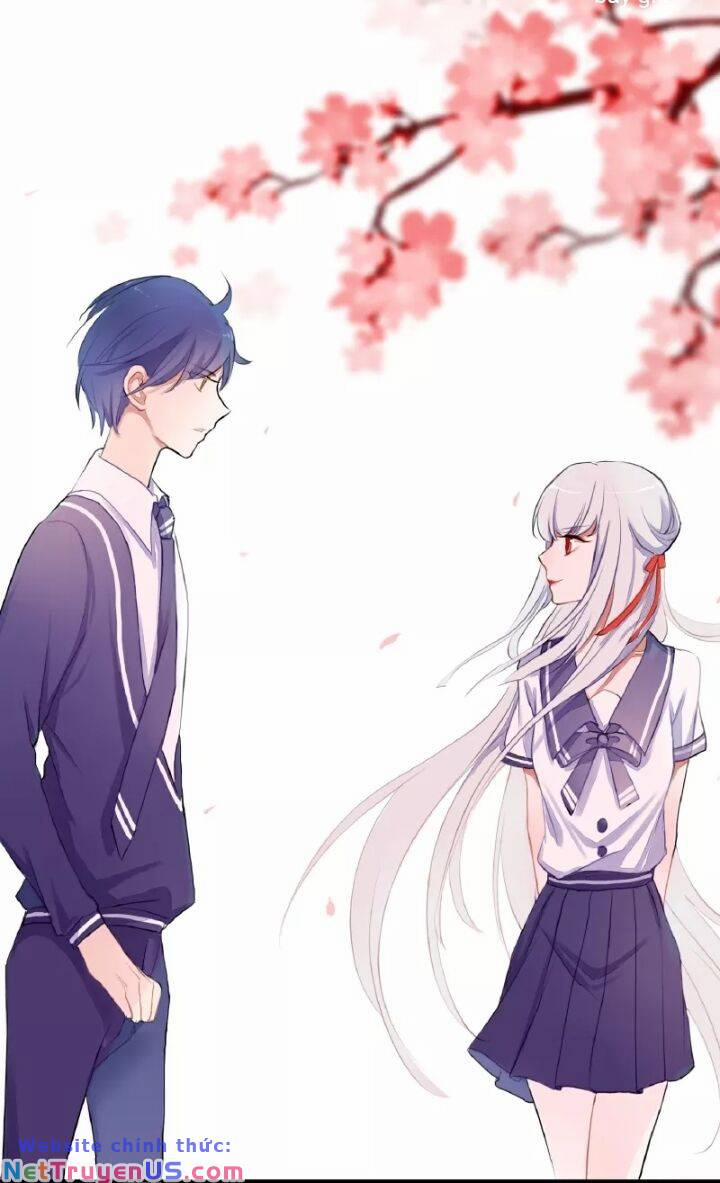 Quy Luật Tình Yêu 4 trang 13